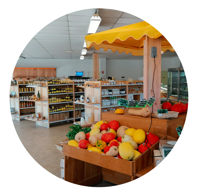 etalage magasin le court circuit 89