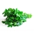 persil-plat-bio-le-court-circuit-89