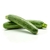 courgette-bio_le-court-circuit-89