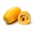 courge-spaghetti--bio_le-court-circuit-89
