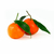 clementine-corse-bio_le-court-circuit-89