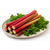 Rhubarbe-jardins-bio-en-othe