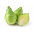 Choux pointus-jardins-bio-en othe
