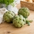 artichaut-jardins-bio-en-othe