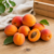 abricots-jardins-bio-en-othe