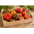 tomate-ancienne-jardins-bio-en-othe