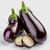 aubergine-bio_le-court-circuit-89