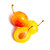 mirabelle-bio_le-court-circuit-89