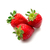 fraise-bio_le-court-circuit-89