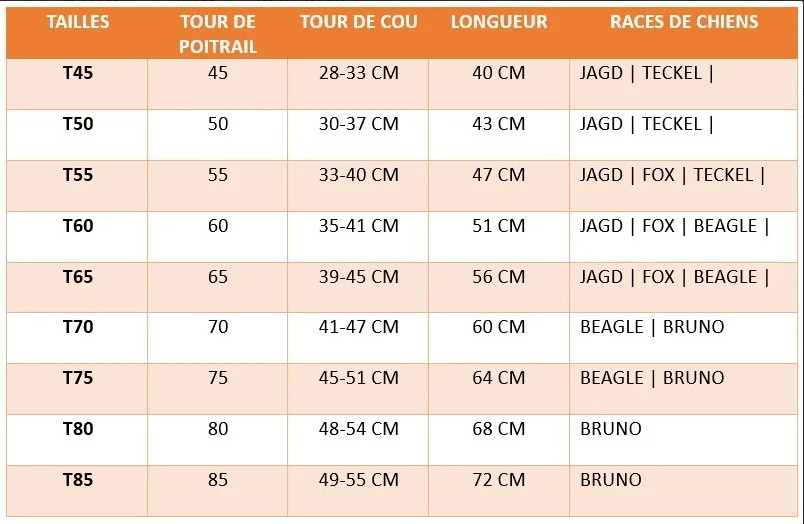 taille gilet rog elite 2