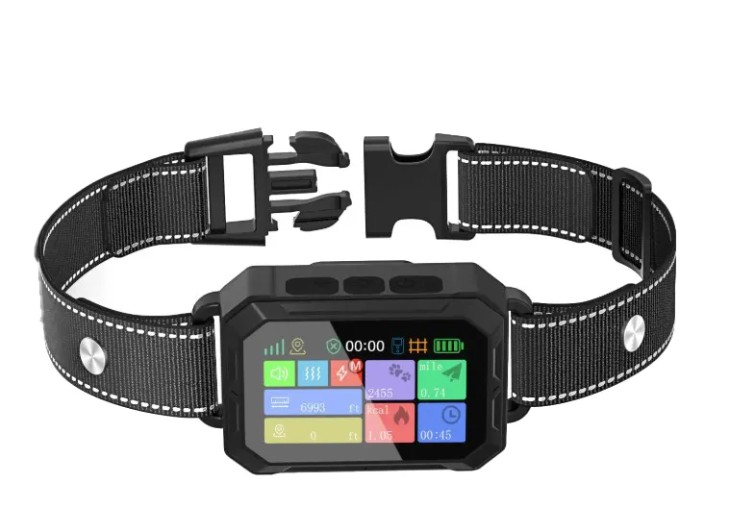 collier anti fugue rog area 2