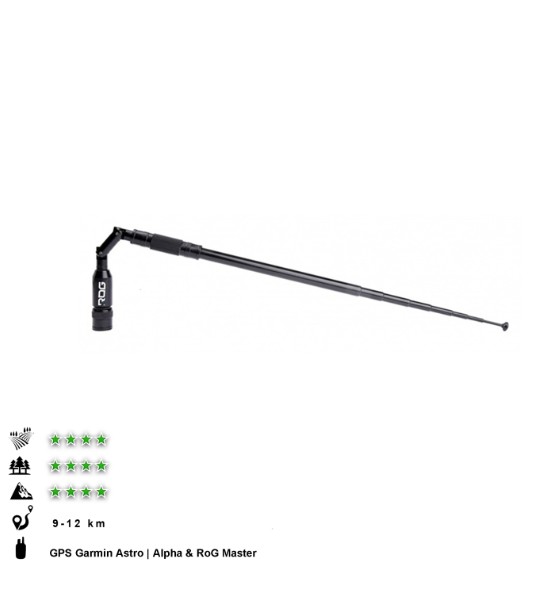 Antenne GPS Ibiza Rog