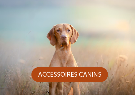 accessoires canines