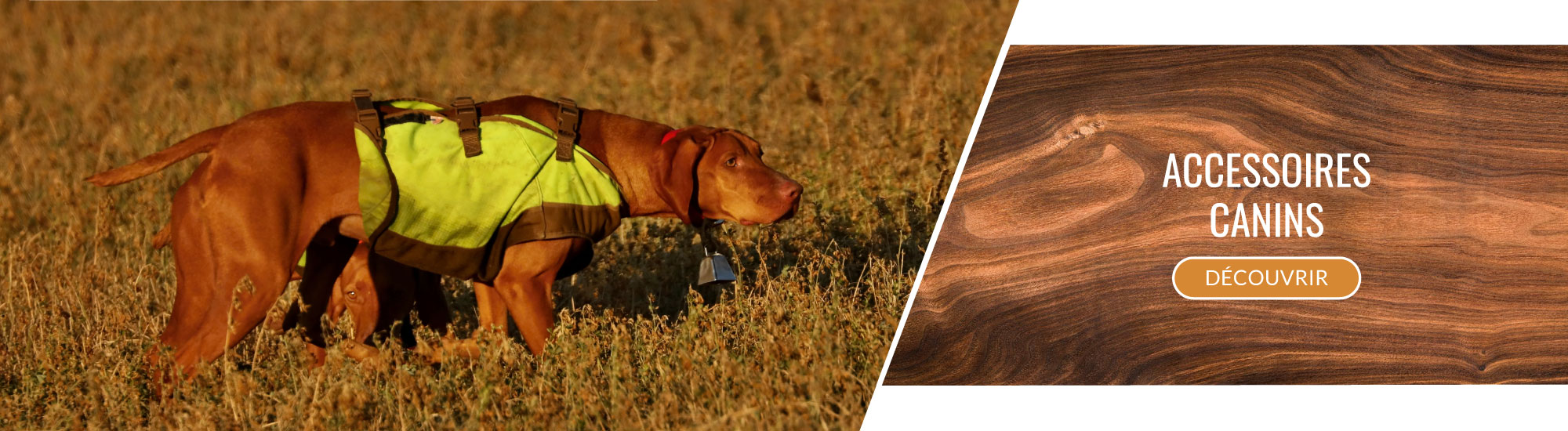 meissonnier fanny accessoires canins