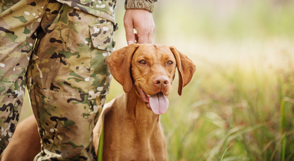 meissonnier fanny chasseurs chiens2