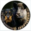 jagd-terrier