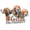Beagles-zoom