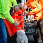 photo-pres-gilet-dog-armor-CANIHUNT-04-zoom