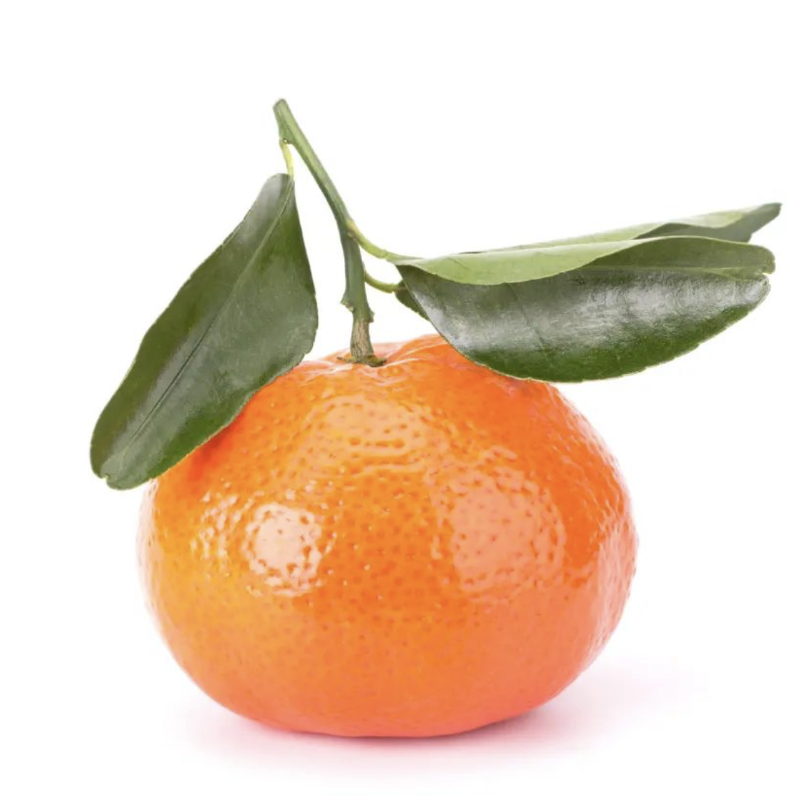Mandarine Chios Citrus