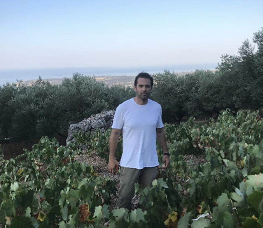 SARRIS_PANOS_1