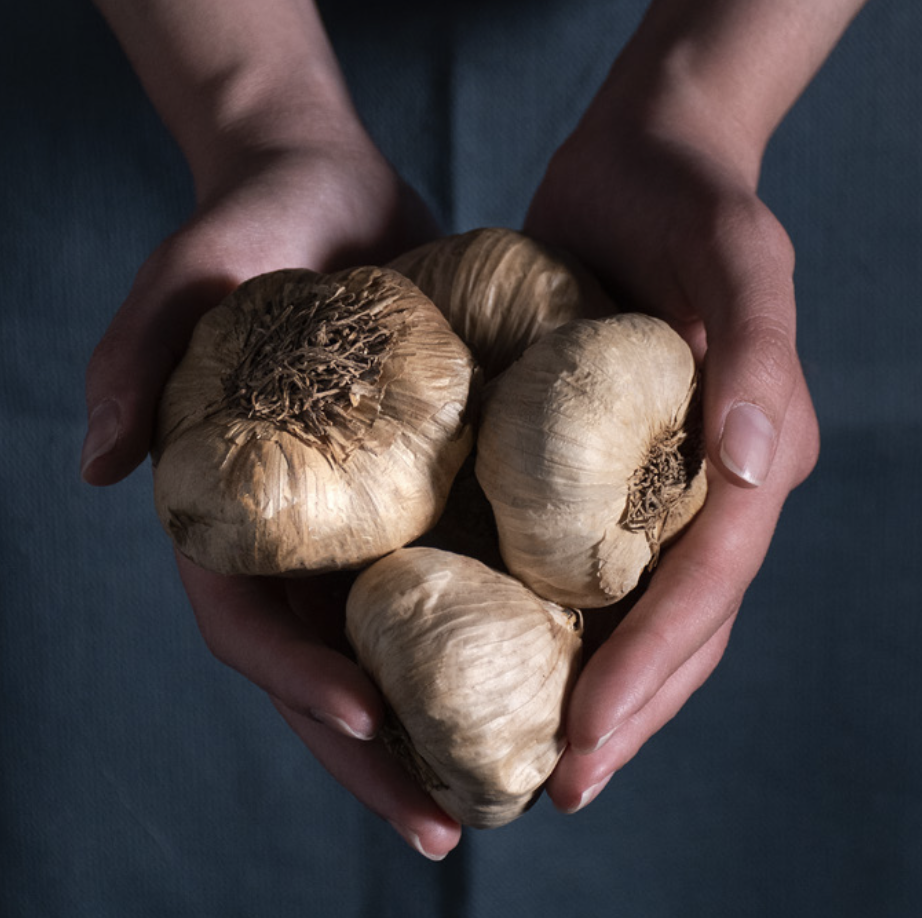 Black Garlic Down Village 7