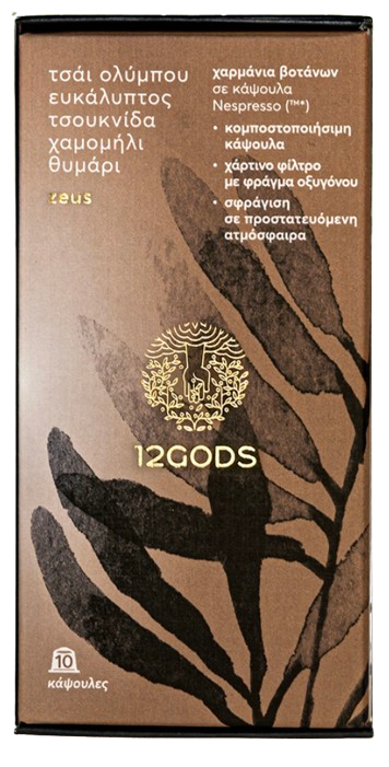 12GODS_ZEUS_2