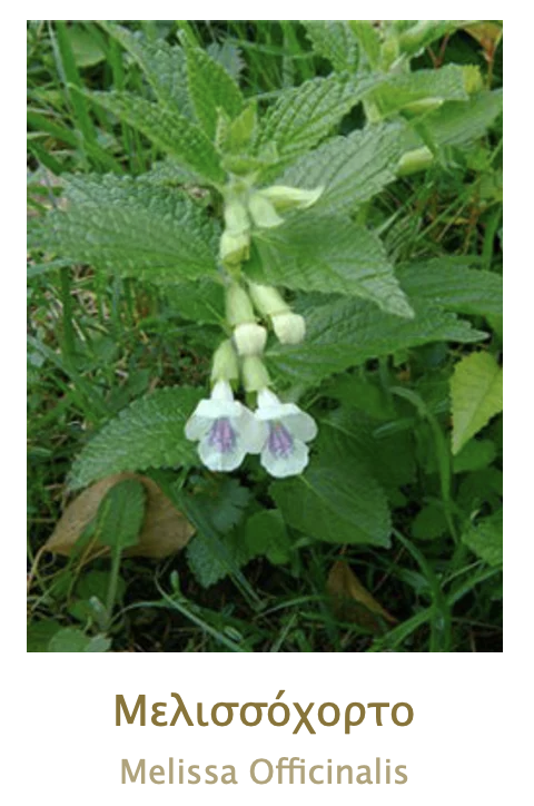 CHEVREFEUILLE AEGEAN HERBS