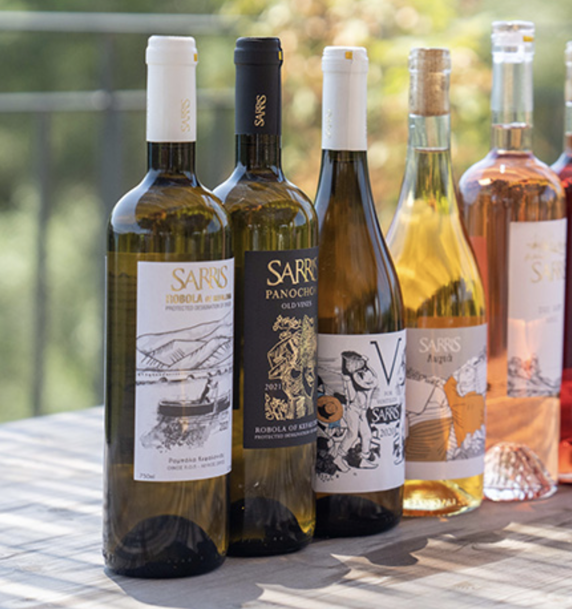 SARRIS_Domaine_1