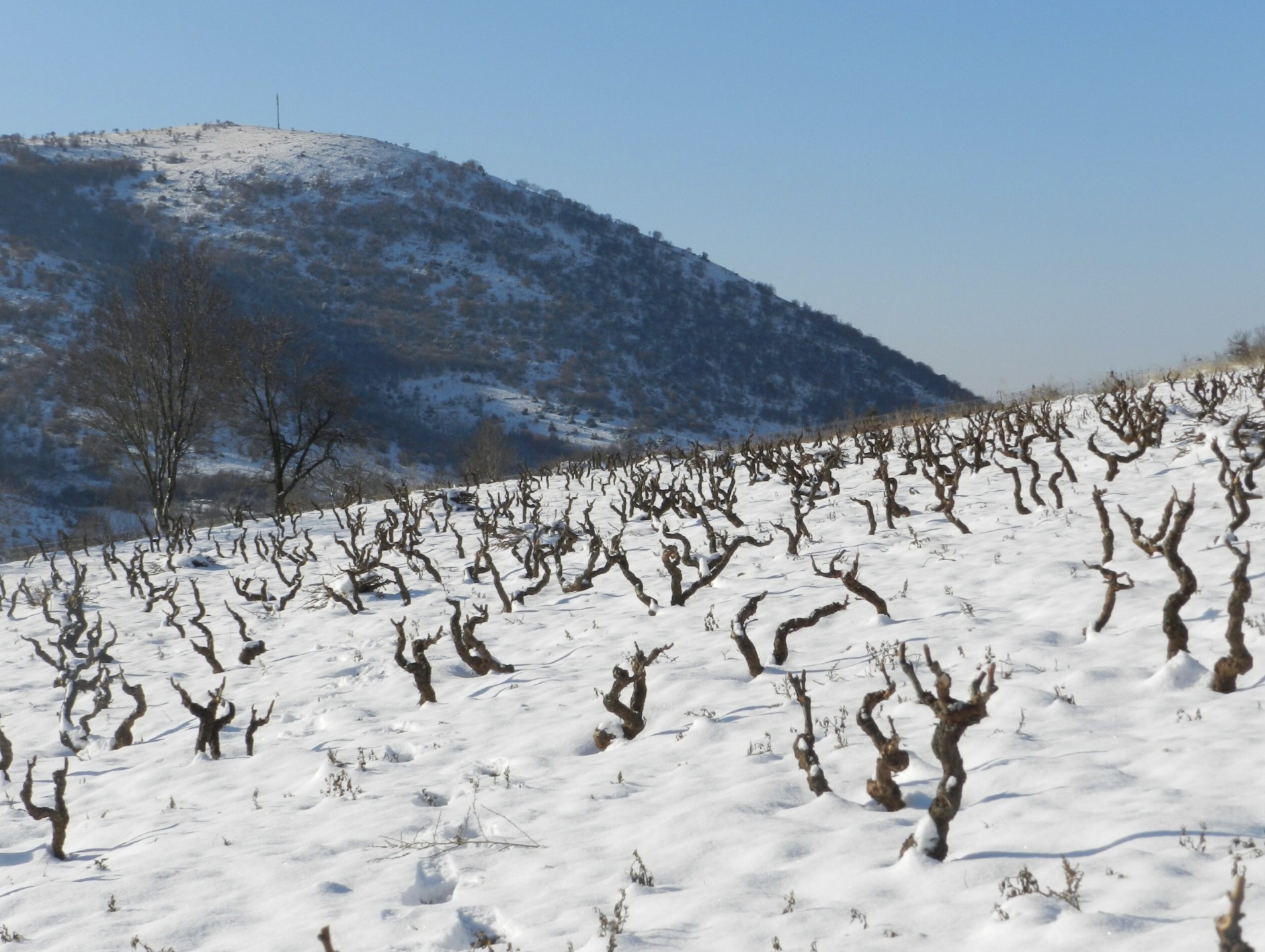 Magoutes_Hiver