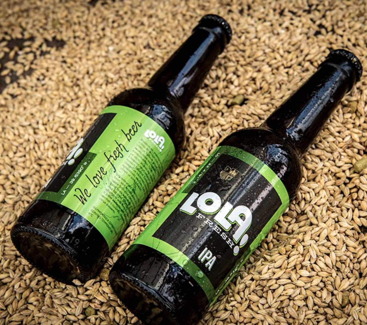 PINEIOS_Biere_Grecque_LOLA IPA 3