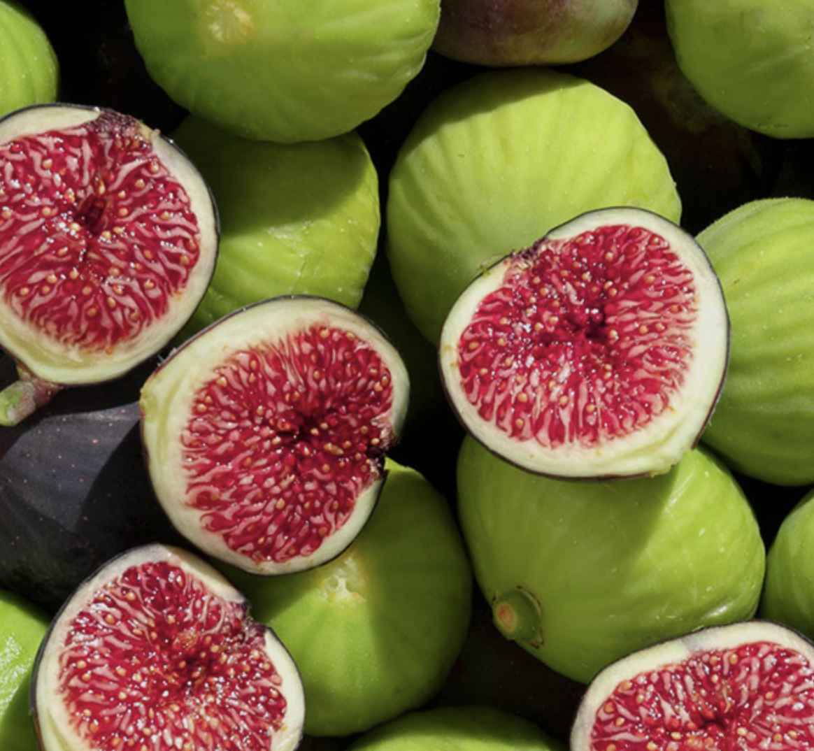 MAKRYONITIS_FIGS