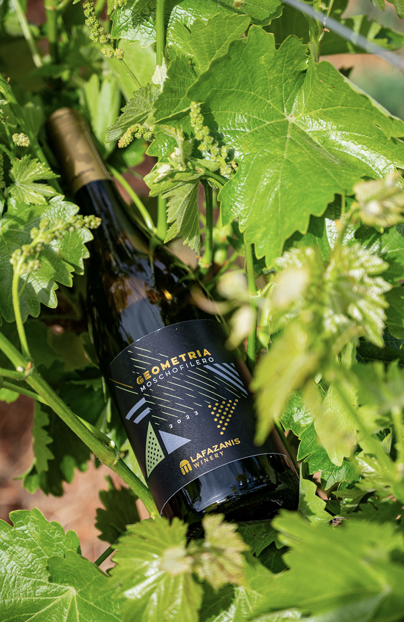 Domaine LAFAZANIS Cuvée Geometria Vins Sec IGP Péloponnèse Grèce 3