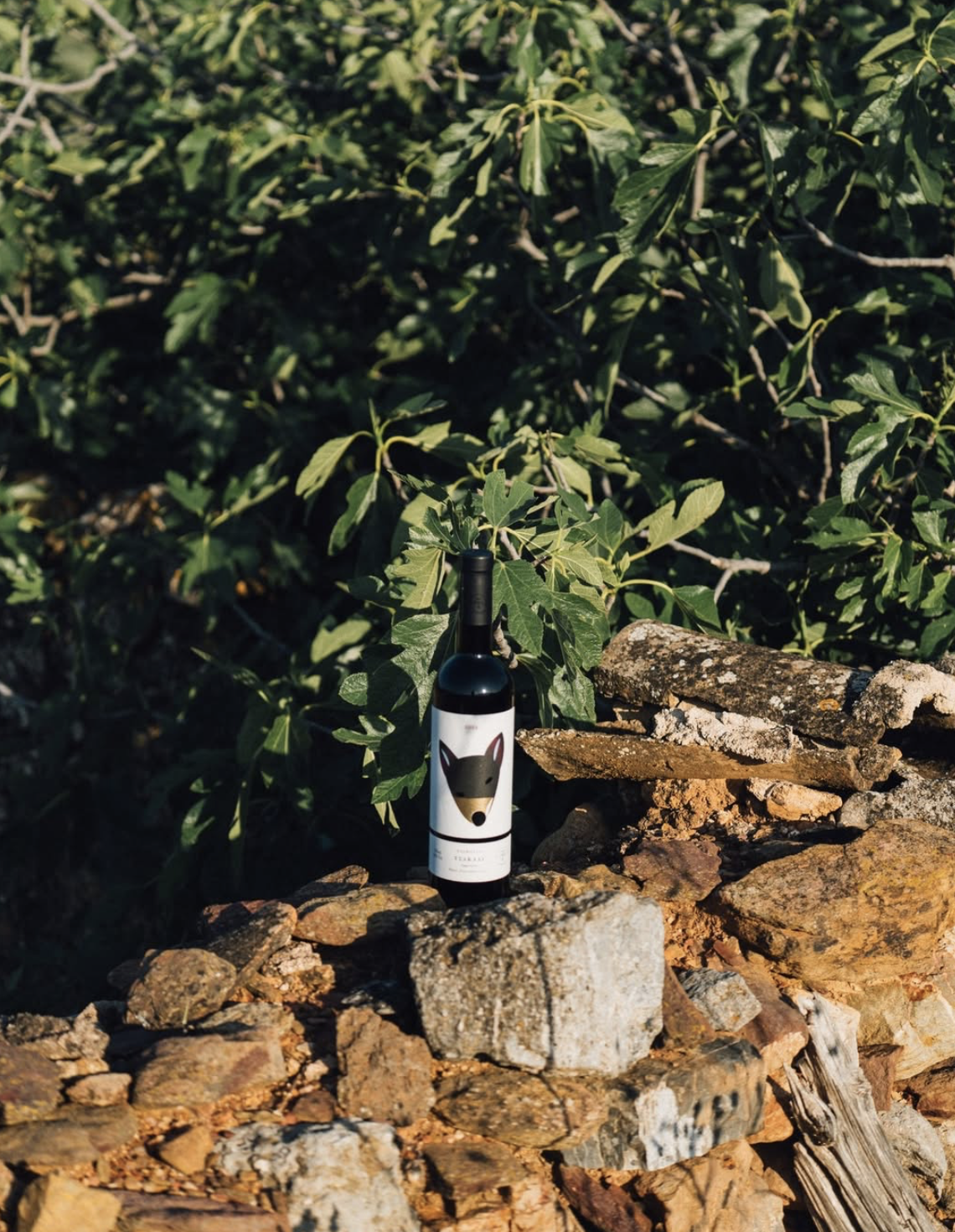 Domaine Monemvasia Tsimbidi Péloponnèse Grèce 3