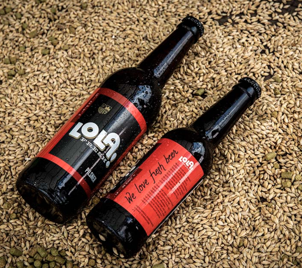 PINEIOS_Biere_Grecque_LOLA PILSNER 4