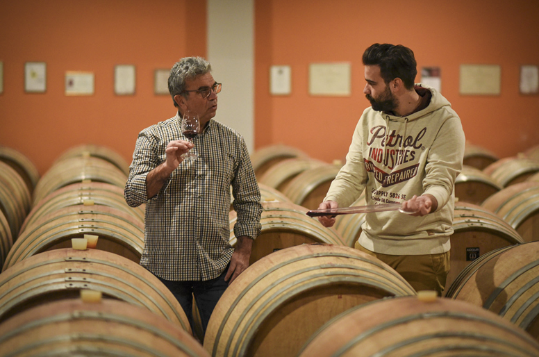 Domaine LAFAZANIS Péloponnèse 3