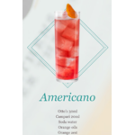 OTTO-S-VERMOUTH-AMERICANO