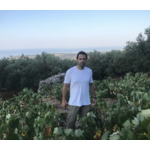 SARRIS_PANOS_1