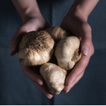 Black Garlic Down Village 7