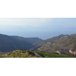 Tetramythos8