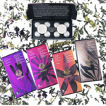 12GODS_HERBAL_TEA