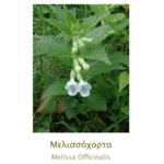 CHEVREFEUILLE AEGEAN HERBS