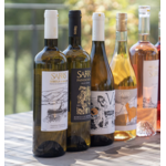 SARRIS_Domaine_1