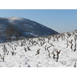 Magoutes_Hiver