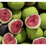 MAKRYONITIS_FIGS