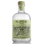 MAKRYONITIS_PLANTAE_TSIPOURO
