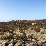 VASSALTIS_PYRGOS