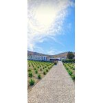 ARGYROS_KOULOURA_2
