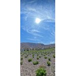 ARGYROS_KOULOURA_1