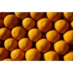 Lot De Fruits Orange