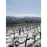 Domaine Silva Daskalaki IGP Crète Grèce 2
